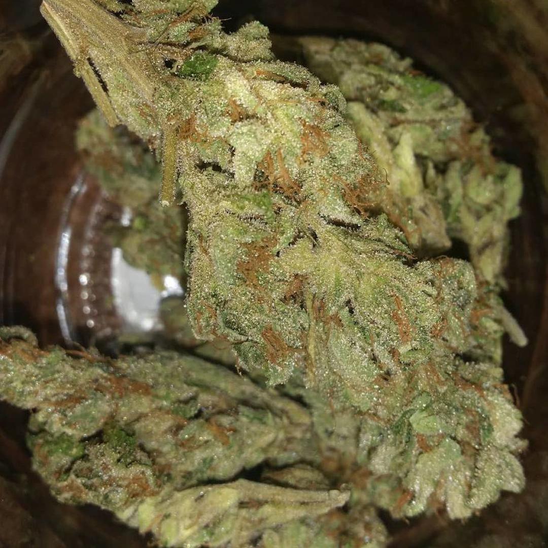 strain_thumbnail