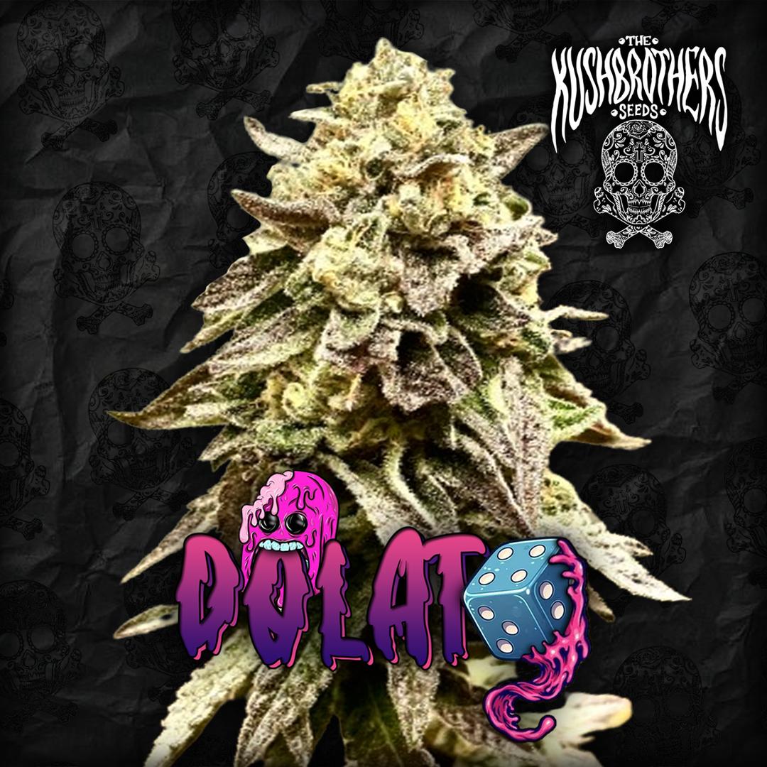 strain_thumbnail