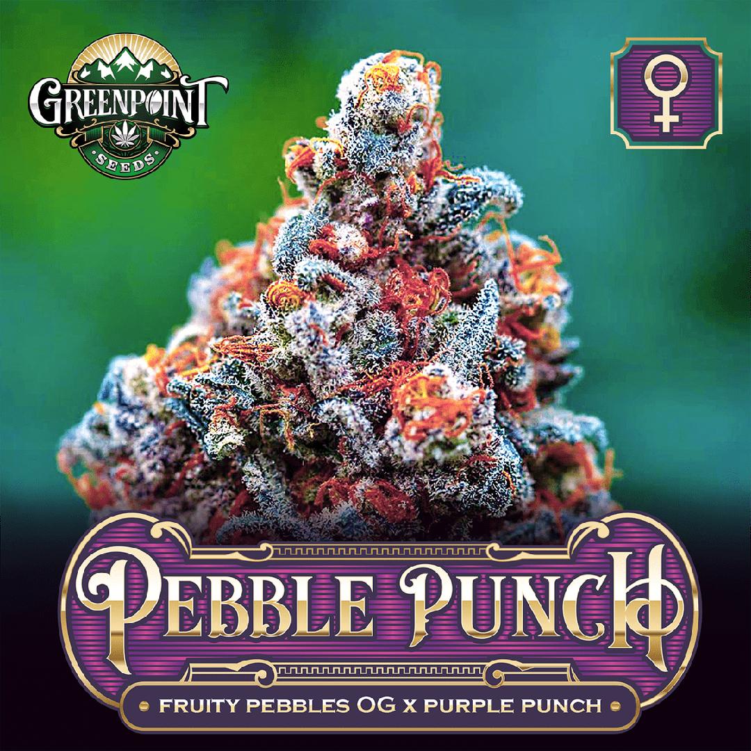 strain_thumbnail
