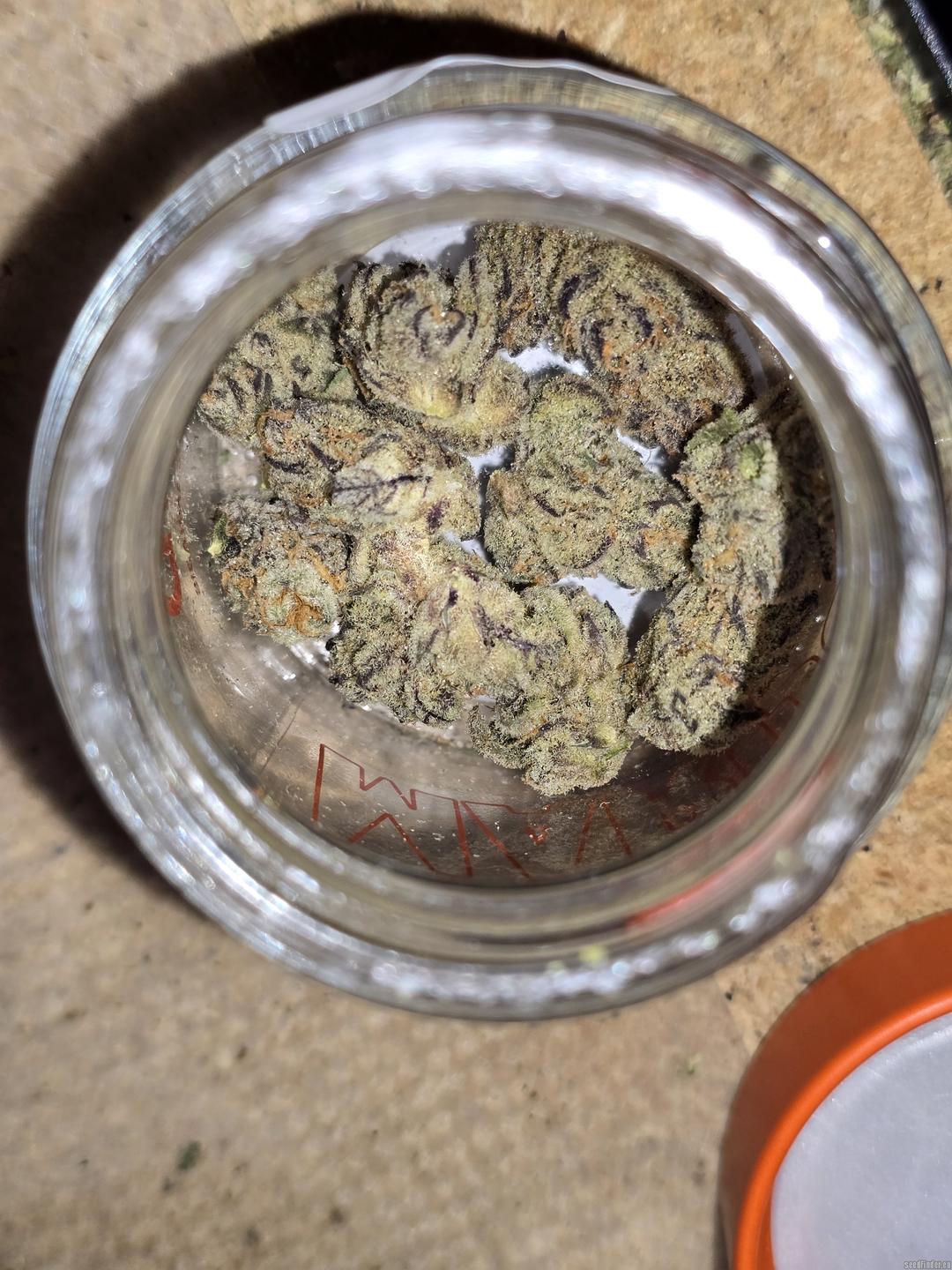strain_image_2