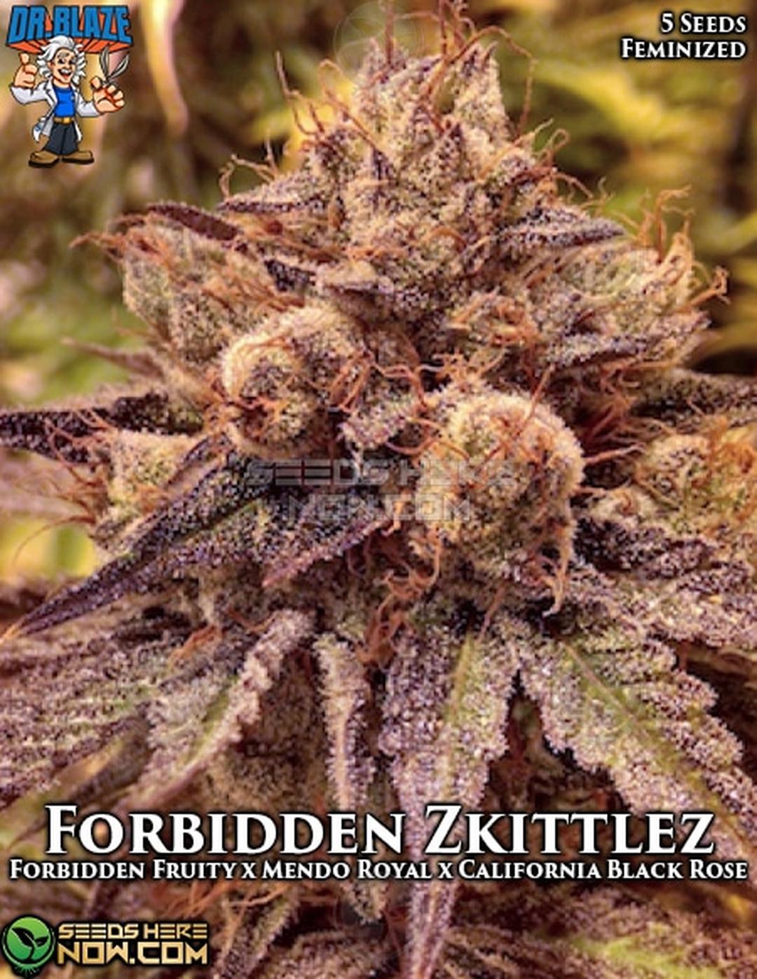 strain_image_1