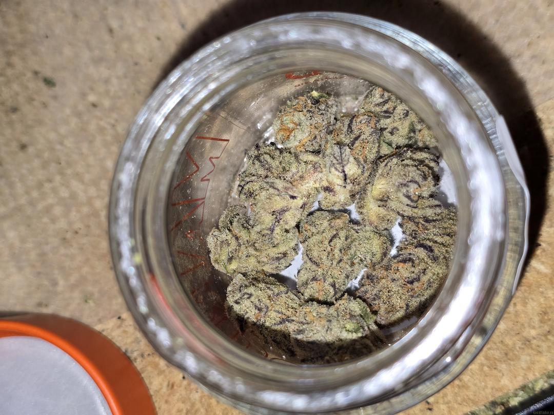 strain_image_3