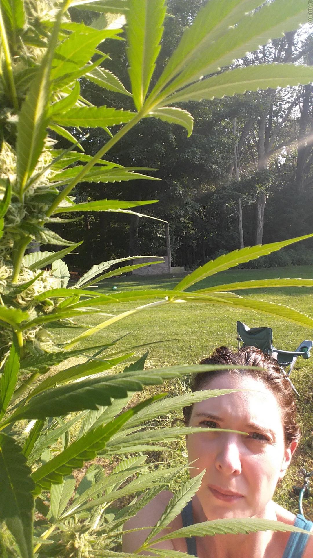 strain_image_1