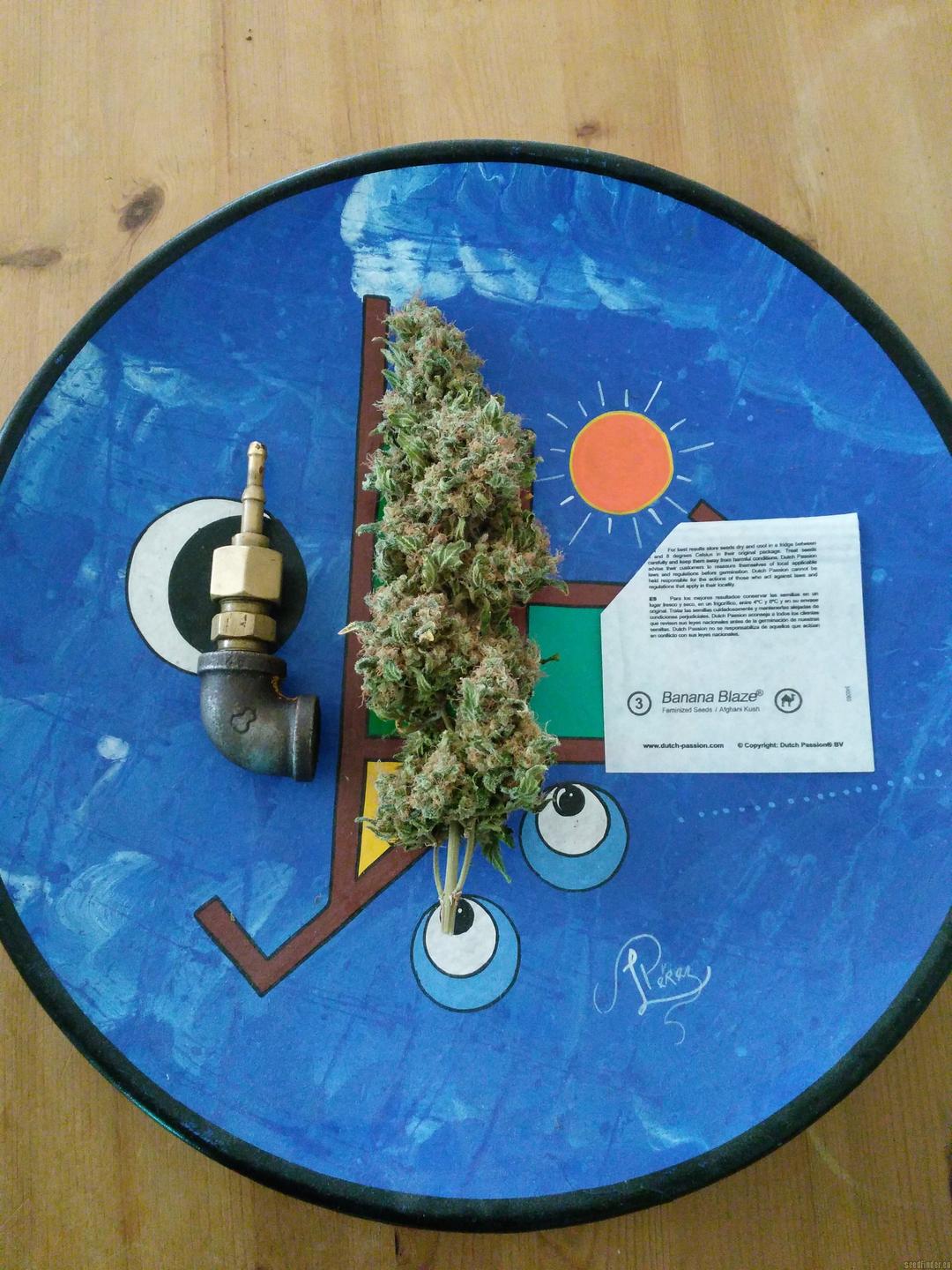strain_image_3