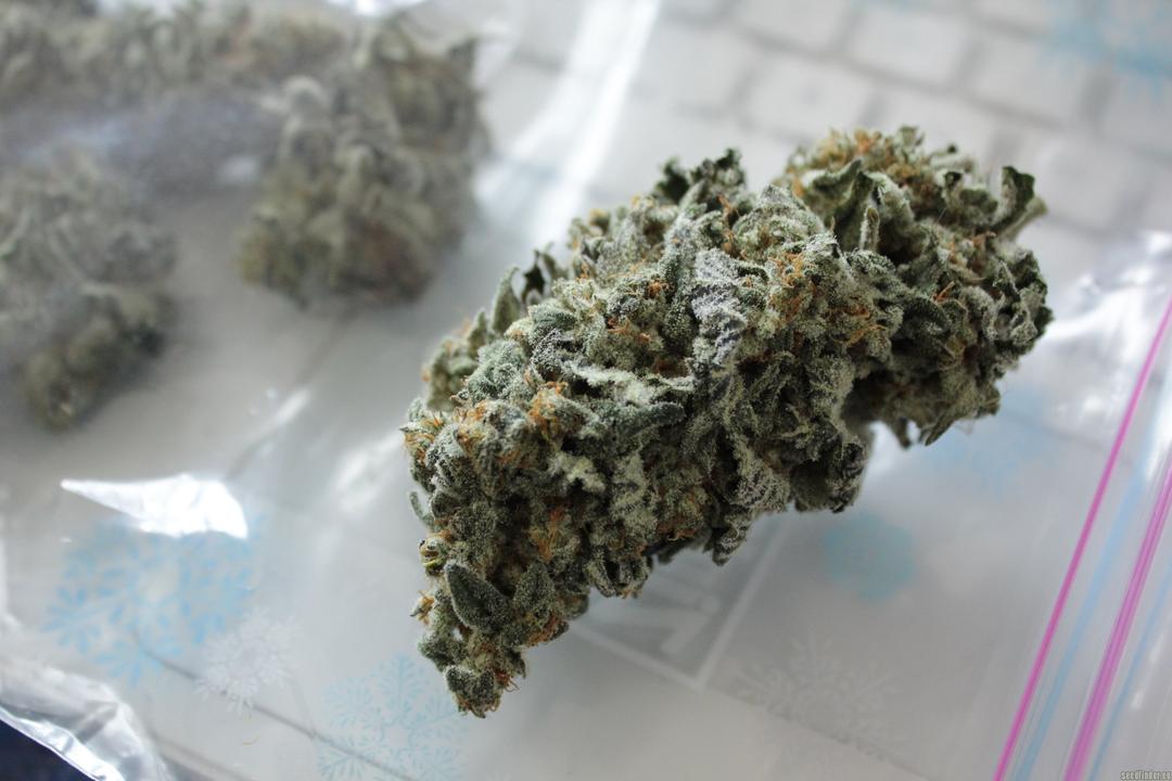 strain_image_1