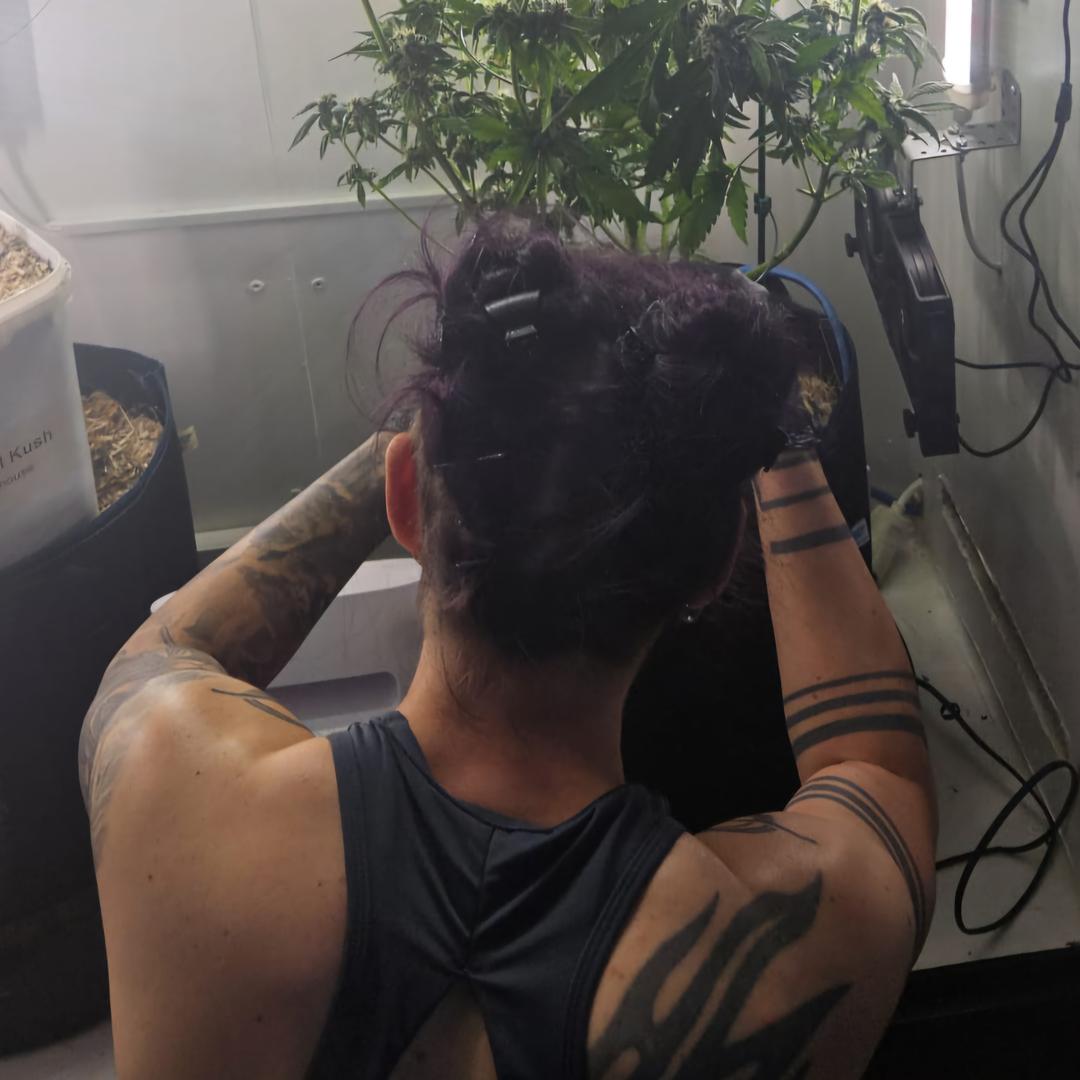 profile_avatar