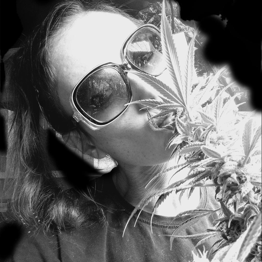 profile_avatar